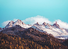 2026世界杯官方软件安装-环球足球奖颁奖礼举行：莱万年度最佳 C罗世纪最佳